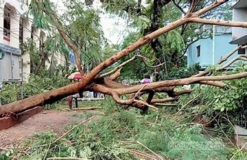খুলনায় বিধ্বস্ত ৭৭ হাজার বাড়িঘর, ক্ষতিগ্রস্ত সাড়ে ৪ লাখ মানুষ
