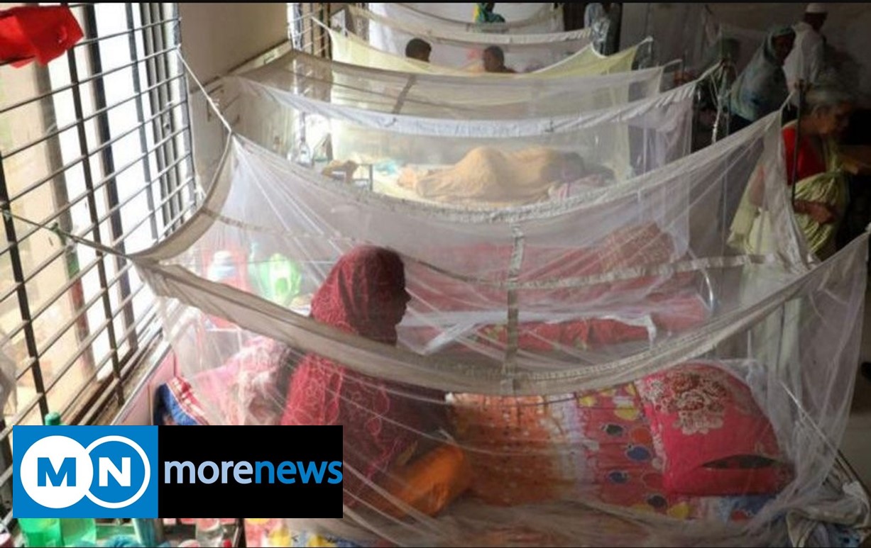 226 hospitalized with dengue