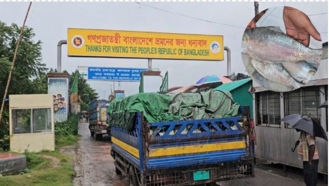 277 metric tons of hilsa went to India in five days through Benapole land port