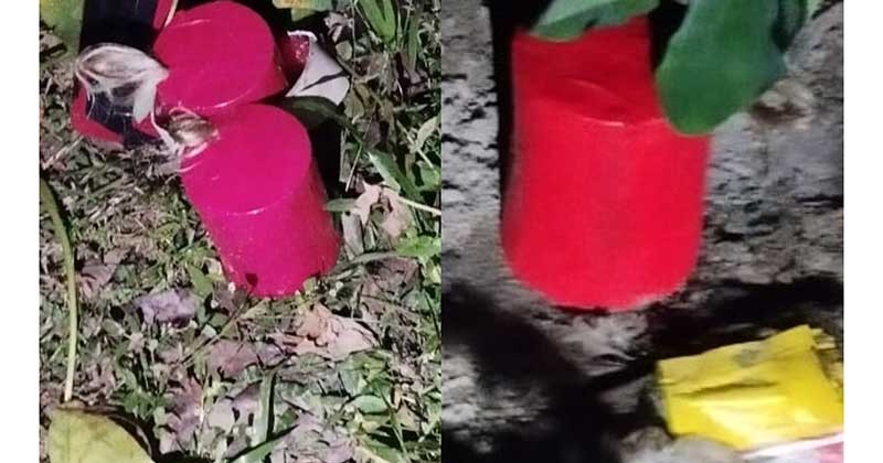যুবদলের কর্মীসভায় ককটেল বিস্ফোরণ