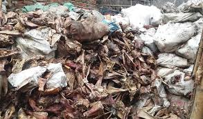 “Gold hidden in garbage: Secret business worth crores of taka in animal bones, horns and testicles”