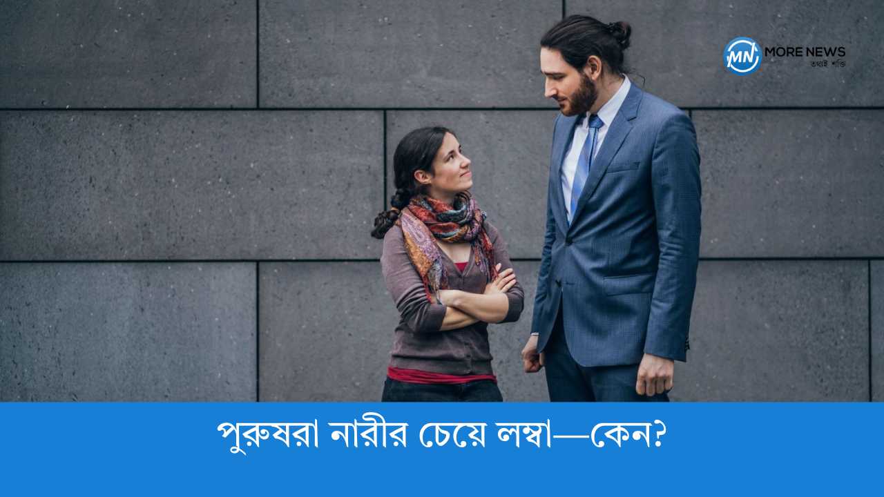 Why are men taller than women?