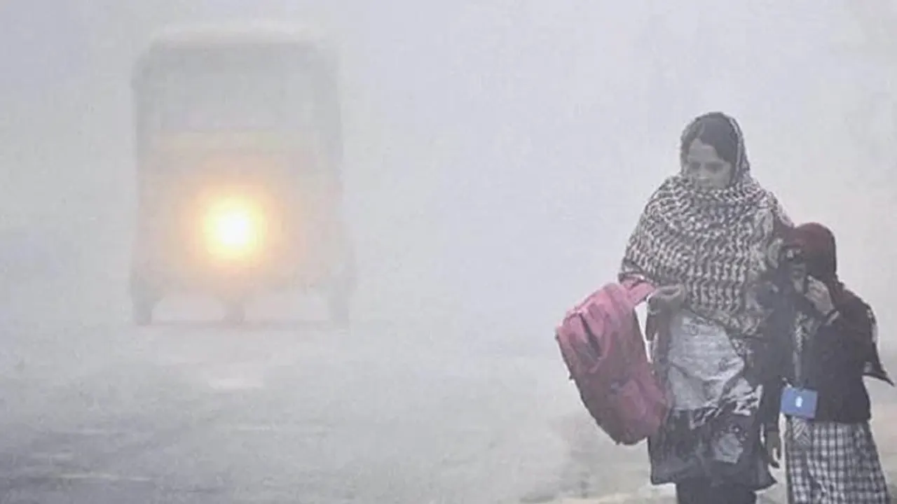 আবহাওয়া নতুন পূর্বাভাস: এবার শীতে হবে ১০ শৈত্যপ্রবাহ