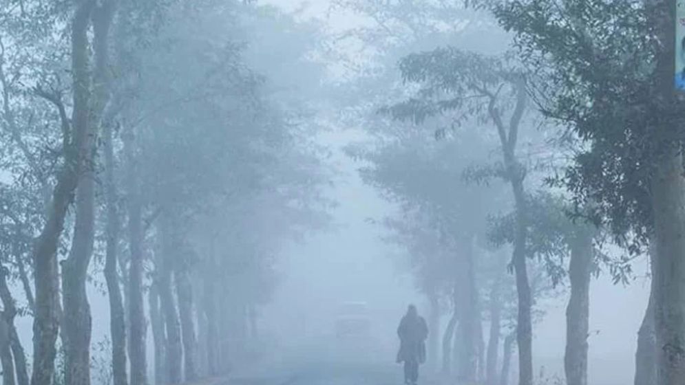 আর কতদিন থাকবে এমন কুয়াশা? জানাল আবহাওয়া অফিস, শীতের দাপটে বাড়ছে দুর্ভোগ