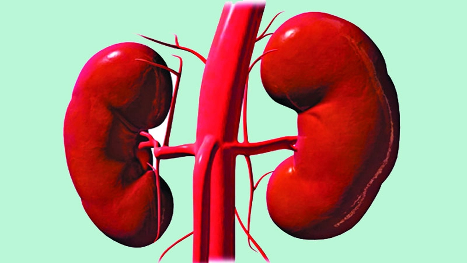 Scientists reveal the real cause of kidney disease - find out what the cause is