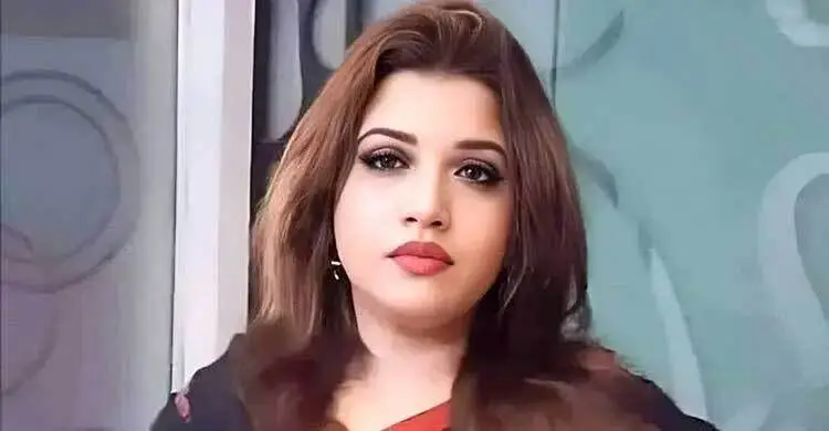 বাংলাদেশের নিরাপত্তা ও স্বার্থ রক্ষায় বিএনপির বিকল্প নেই: শামা ওবায়েদ