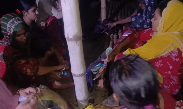 রোকনপুর সীমান্তে ১৫ জনকে পুশ-ইনের চেষ্টা, বিজিবির বাধায় পিছু হটল বিএসএফ