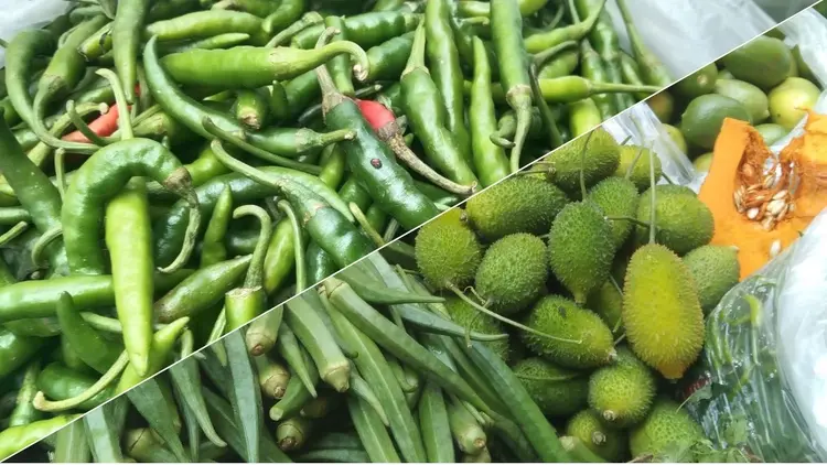Market on fire on the pretext of monsoon: Brinjal 150 per kg, green chilli 400 per kg Special Correspondent